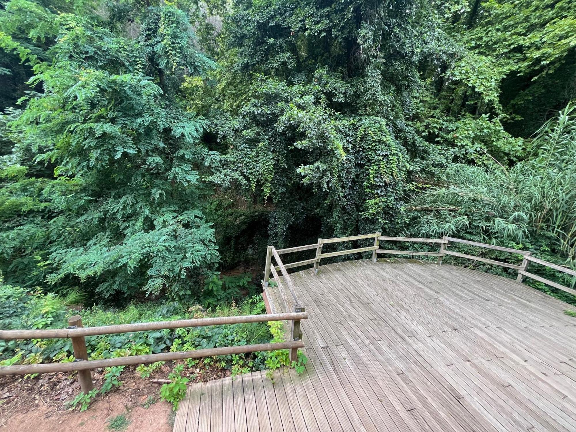 Apartamento El Mirador De La Farga Arbúcies Εξωτερικό φωτογραφία